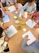 ilustracja do wpisu 
Nasze zmysły